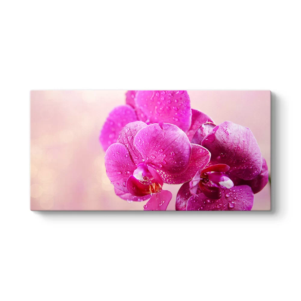Fuşya Orkide Tablosu - Model 5